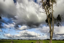 雄鹿队韦德重返球场圆满结束生涯