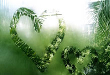 鲁能激战收官，双方实力对比悬殊难测赛果