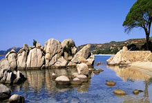 球队冲击总冠军，备战季后赛路漫漫