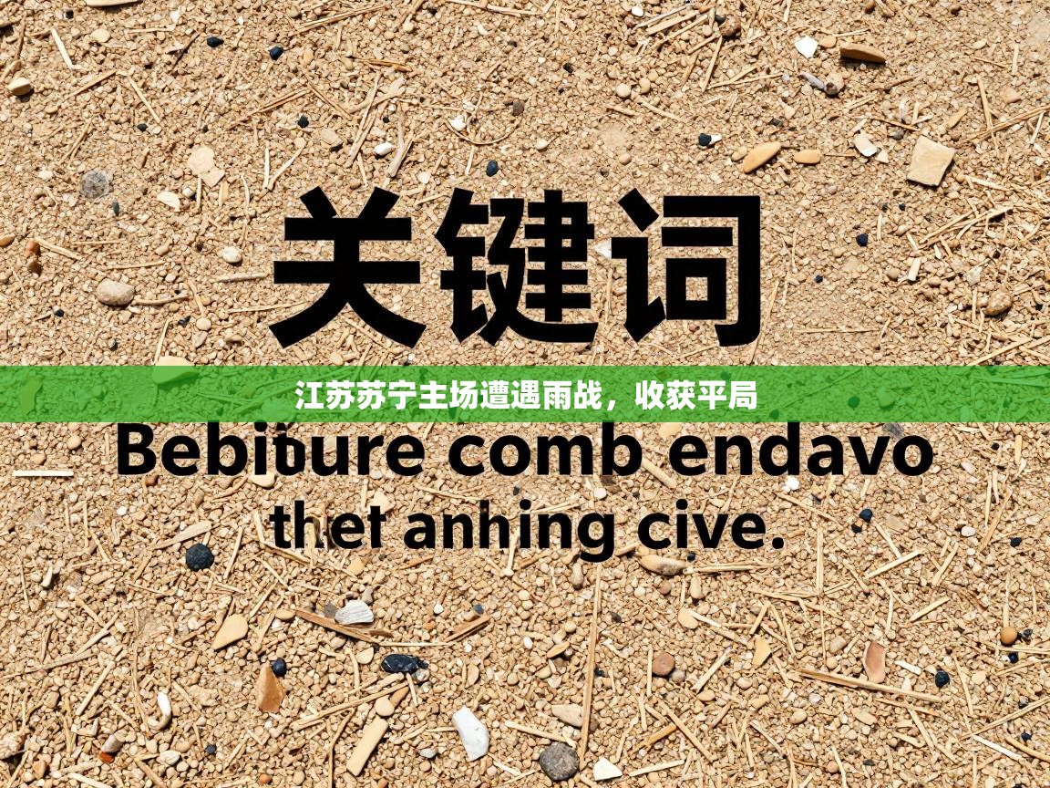 江苏苏宁主场遭遇雨战,收获平局 第1张