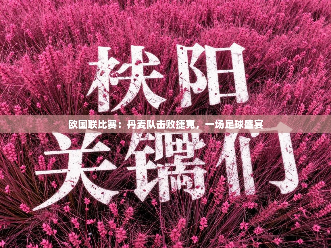 欧国联比赛：丹麦队击败捷克，一场足球盛宴